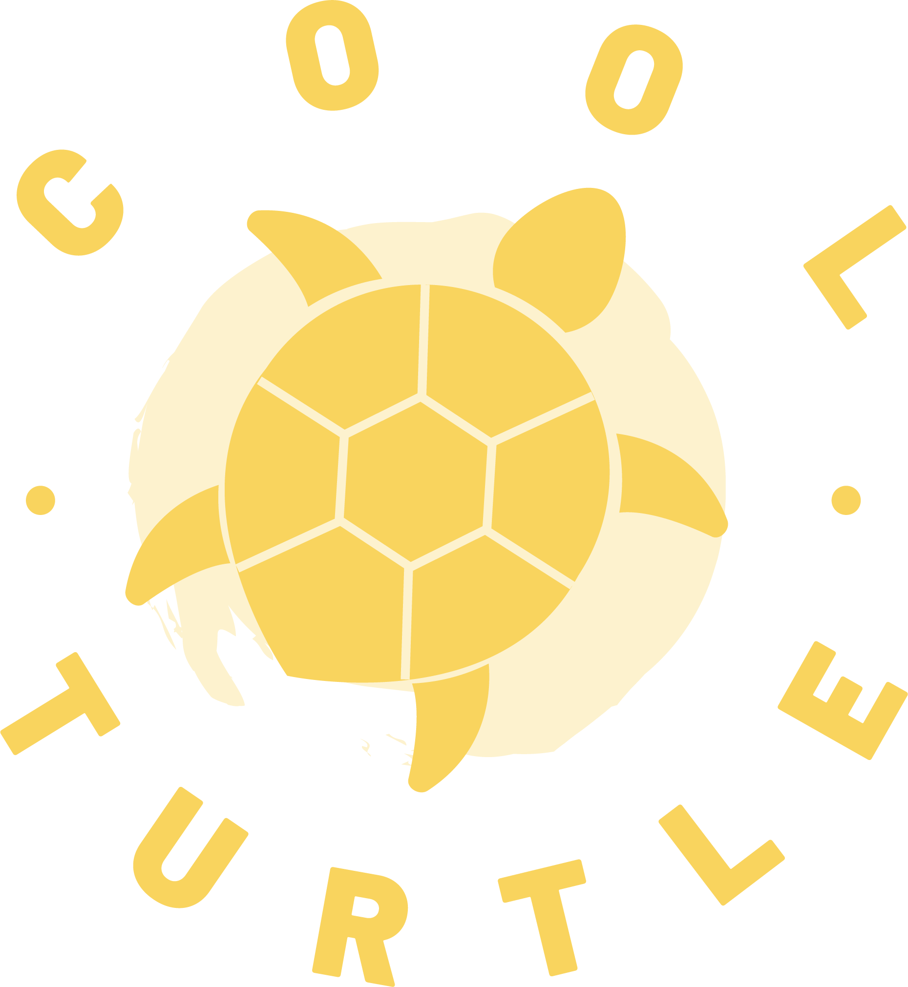 Cool Turtle