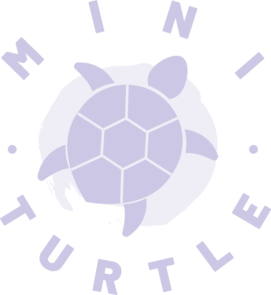 Mini Turtle