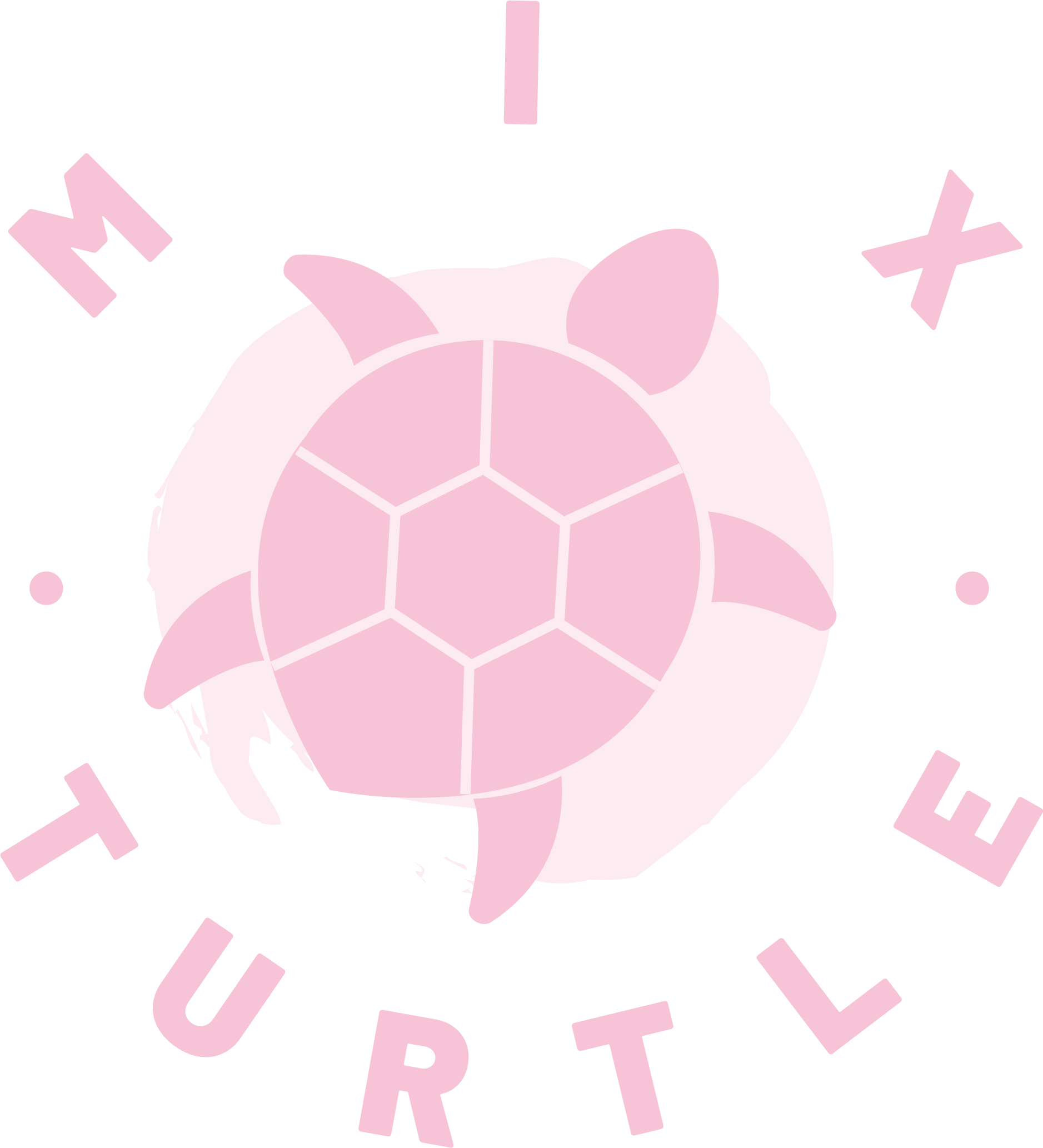 Mix Turtle