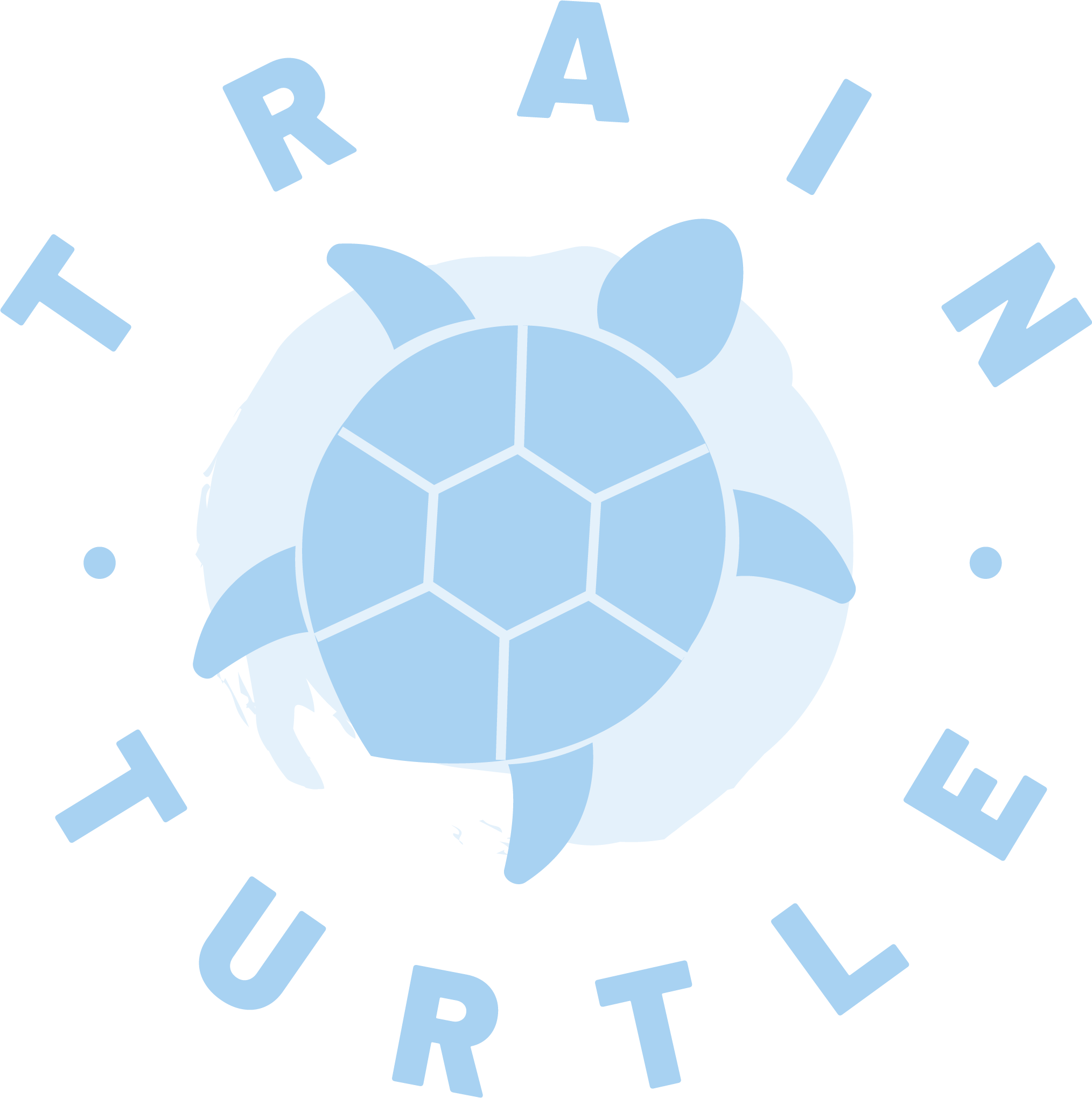 Train Turtle